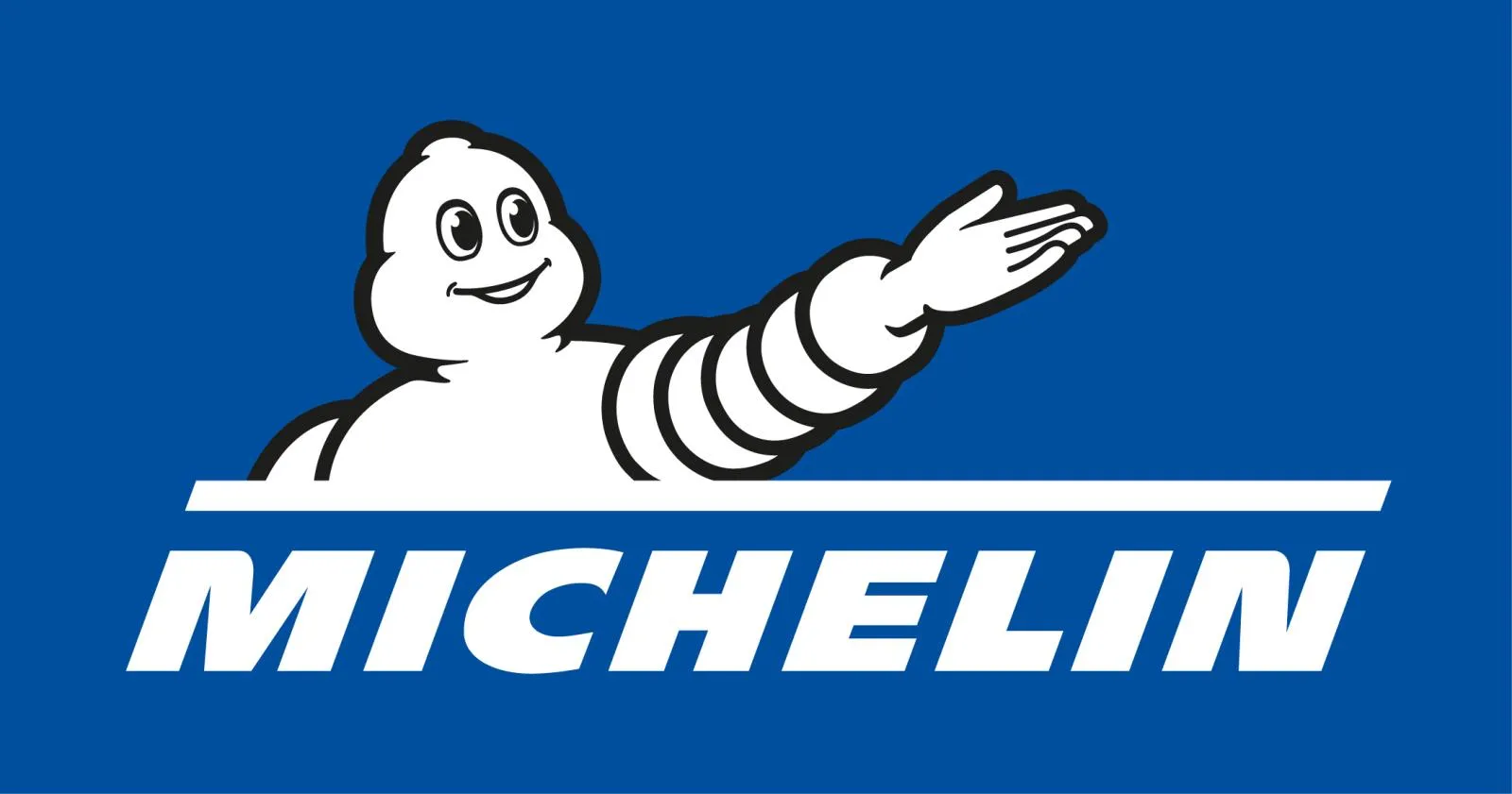 Michelin Resume Activity