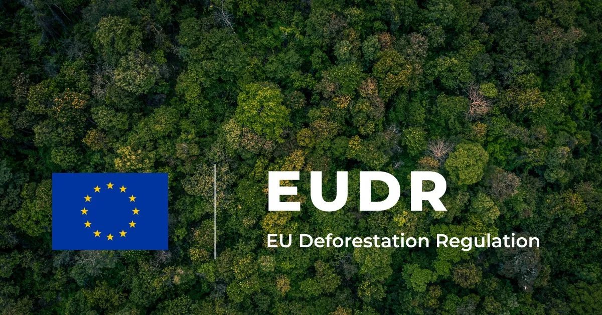 Image of a forest from above with a grapic of the blue and yellow-starred EU flag and the words EUDR and EU Deforestation Regulation in the bottom half.