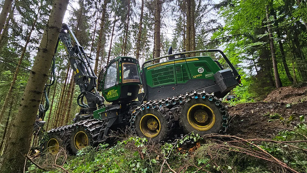 alliance forestry